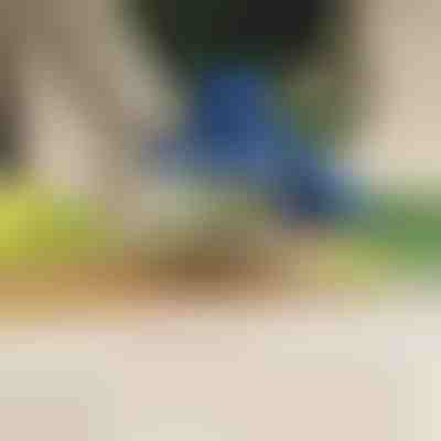 Електрически белач за плодове и зеленчуци | PEELMATIC